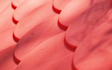 Borgie plastic roof costs