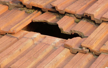 roof repair Borgie, Highland