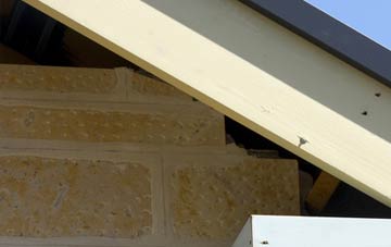 soffit repair Borgie