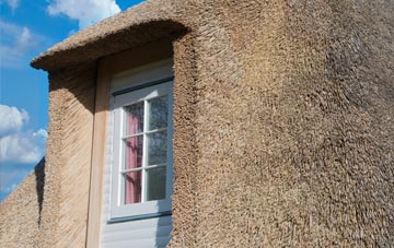 Borgie thatch roof disadvantages