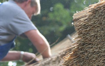 professional Borgie thatchers